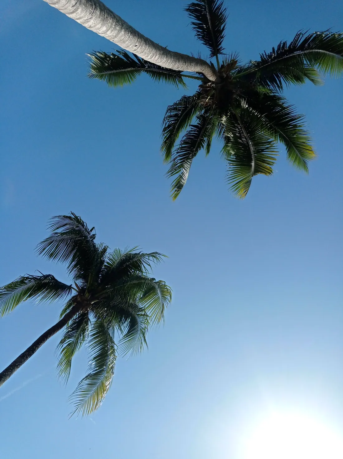 Casa Coco Loco in Boca Chica — original hotel photography