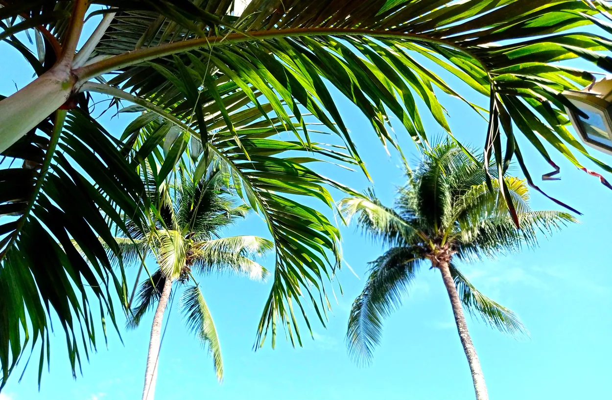 Casa Coco Loco in Boca Chica — original hotel photography
