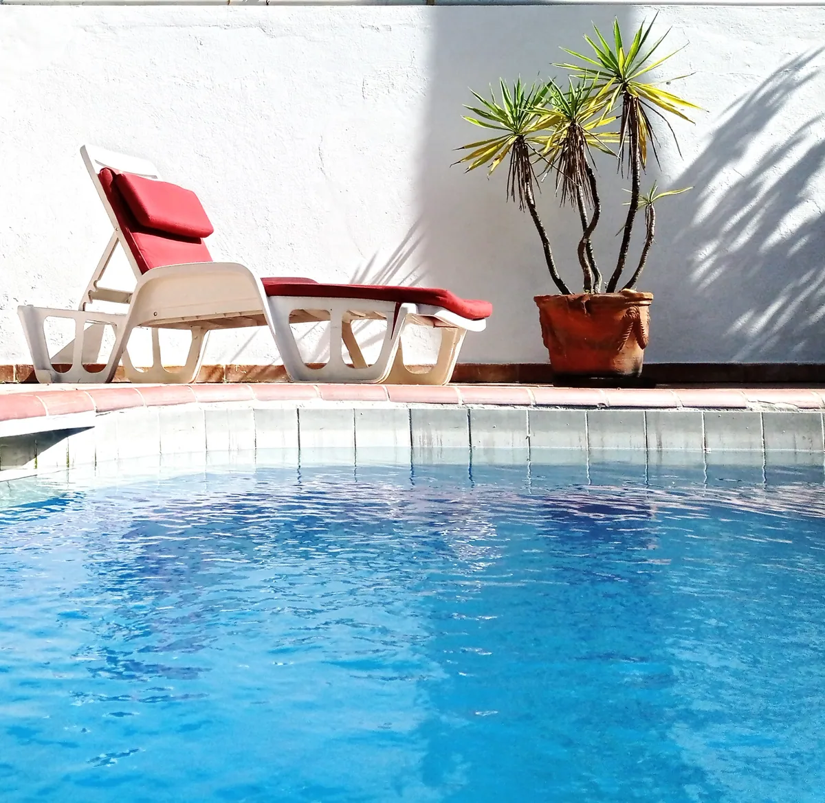 Entspannte Stunden am Pool — Casa Coco Loco and Boca Chica